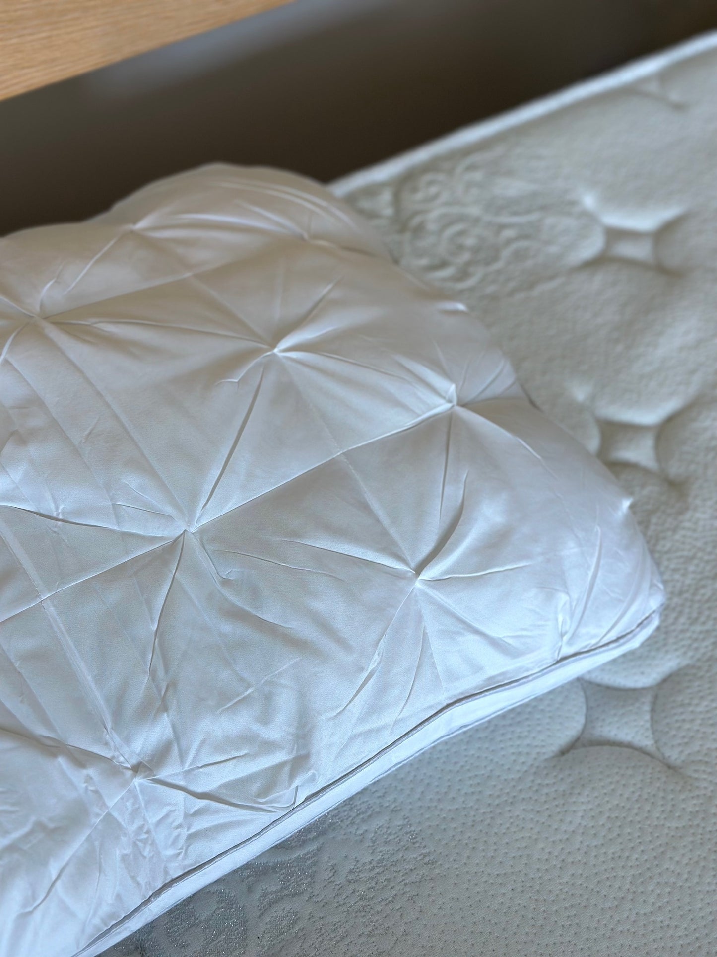 Premium Student Oak Frame + Queen Mattress Combo Preorder